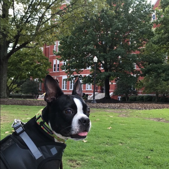 Meet the Posher - Picture 3 of 8